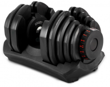 Photograph of the adjustable dumbbell set