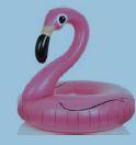 image of flamingo inflatable toy